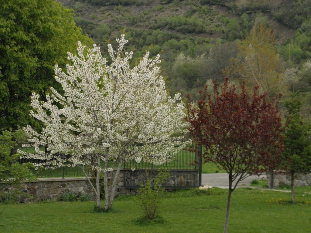 Hotel La Mora Villaseca de Laciana Kültér fotó